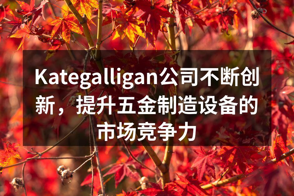 Kategalligan公司不断创新，提升五金制造设备的市场竞争力